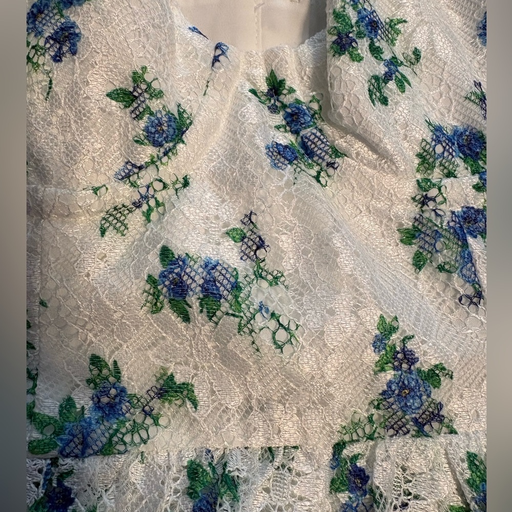 Lovers and Friends Edina Lace Crop Top NWT in Bouquet Floral Multi Size Small - Picture 4 of 9